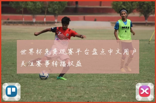 世界杯免费观赛平台盘点中文用户关注赛事转播权益