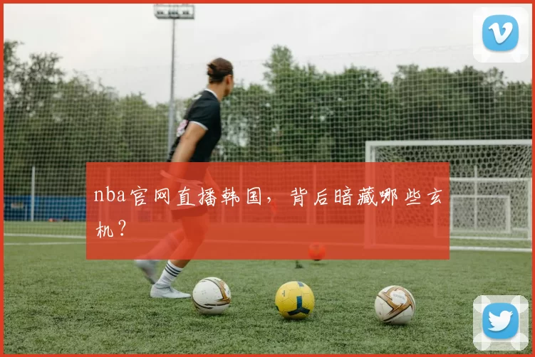 nba官网直播韩国，背后暗藏哪些玄机？